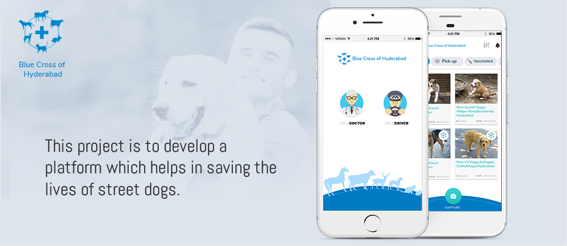 custom software development