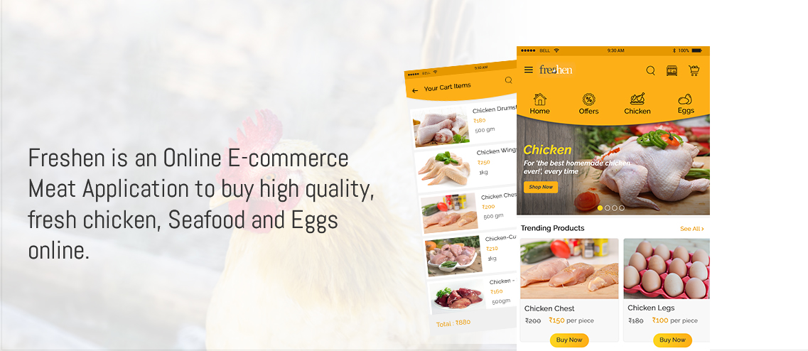 custom software development