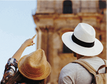 Travel software development