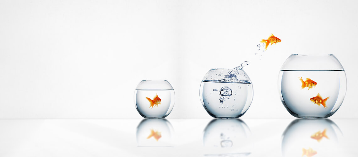 UX Design & Development